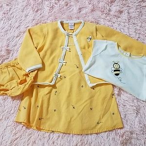 Gymboree Sunflower Fields Bumblebee set Size 3T